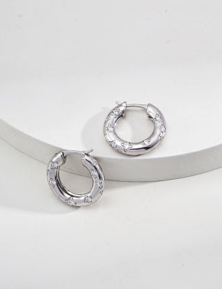 S925 silver Design sense Zircon earrings